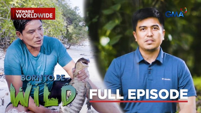 Territorial disputes between humans and wildlife (Full Episode) | Born to be Wild