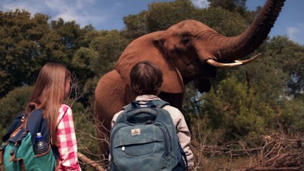 Against the Wild 2 Survive the Serengeti 2016 ull hd movie Hollywood Movie English Movie 1080p