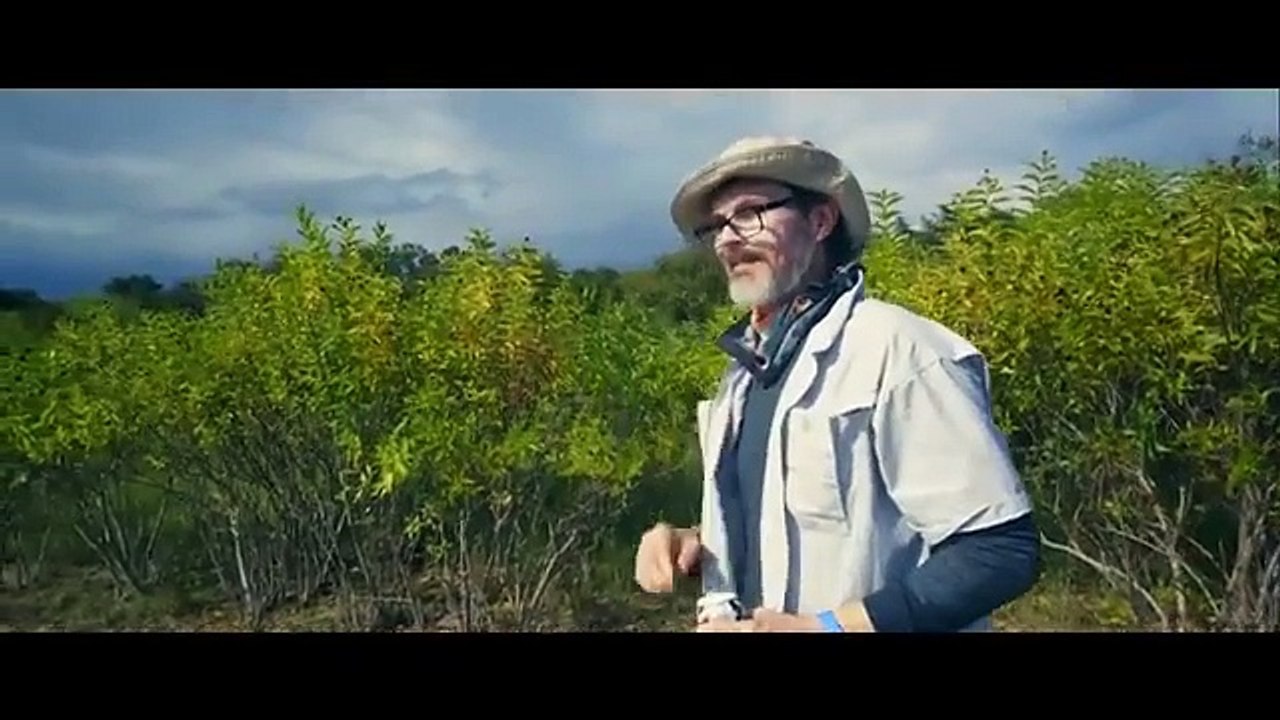 Terror en el Lago  Thriller  Suspenso  Peliculas Completas en Espanol Latino