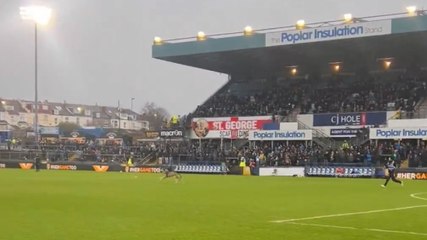 Sfugge al padrone e invade il campo: cane protagonista