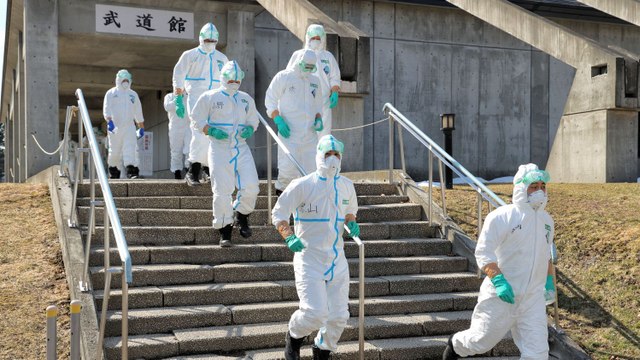 Épidémie de grippe aviaire : le Japon lance un nouvel abattage massif de volailles