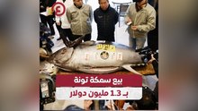 بيع سمكة تونة بـ1.3 مليون دولار