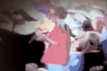 Diagnosis Murder Season 1 Episode 19 Sister Michael Wants You