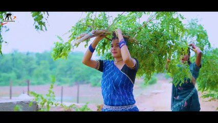 धार हाशिया के ll Dhar Hashiya Ke ll Virend Chaturvedi ll Manzima Sandil ll Hira Bnajare ll