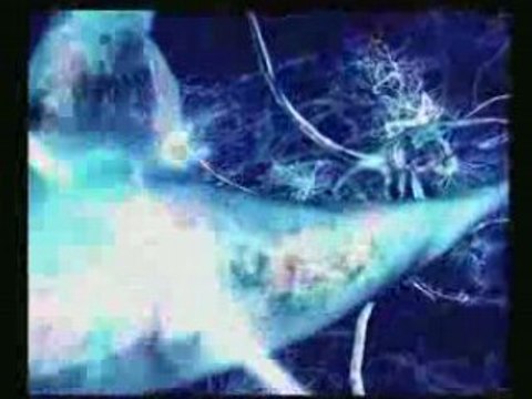 Nessbeal - Roi sans couronne