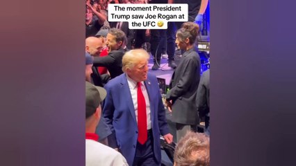 We're so back. #fyp #Trump2024 #UFC