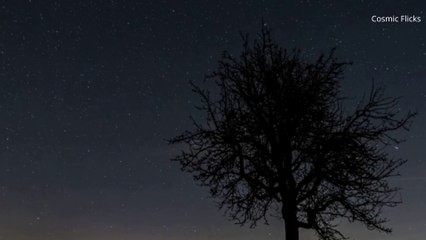 The future of human civilization and space travel