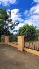 VAMOS A VER SI LA GALLINA SACo CON LOS SOCIOS