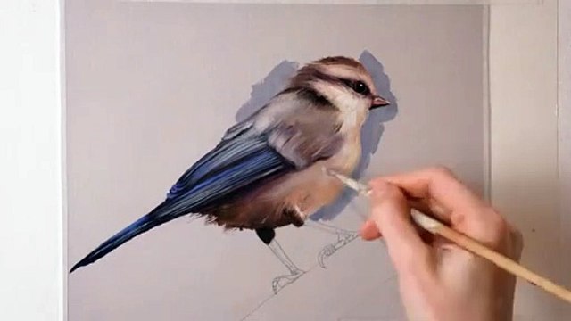 OIL PAINTING TIME-LAPSE __ Bird