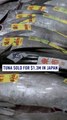 Tuna fetches over $1.3 million at Japan New Year's auction
