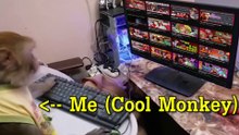 Marvel Rivals Degenerate Mods Tierlist