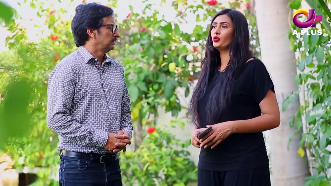 Haseena Moin Ki Kahani EP 44 - Aplus Entertainment