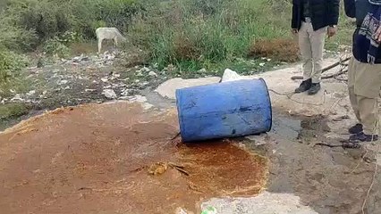 जहरीली शराब की देशी फैक्ट्री पर छापा, दारू इतनी मिली की साहब के होश उड़ गए,ड्रामो में भर कर बेचा करते थे कबूतर अवैध शराब