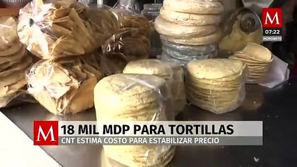 Estabilizar el precio de tortilla podría costar 18 mil mdp anuales: CNT