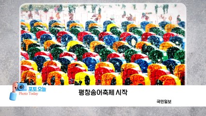 [포토오늘] 평창송어축제 시작  / YTN