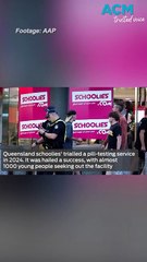 Calls for permanent pill testing after festival success