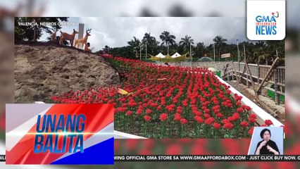 Libo-libong rose installation, patok sa mga turista | Unang Balita