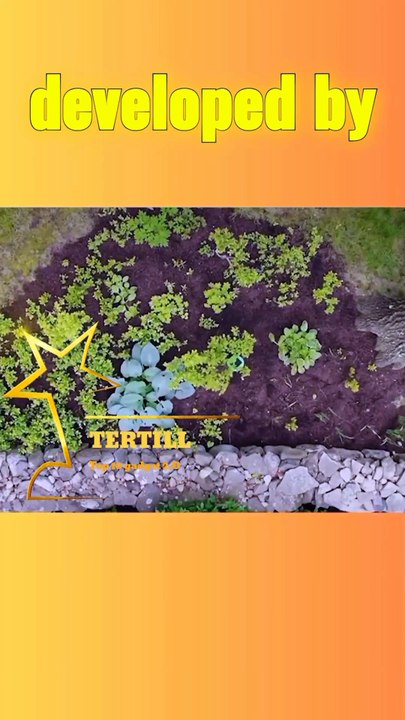 Tertill Weeding Robot Overview Video / #trending #trend #fpv #fyp #gadgets #trendingshorts #tech