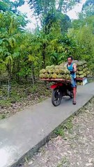 ,,,,,,,,,What is the name of this fruit,,,,,,,