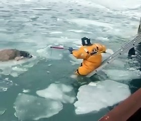 🙏They saved the dog!