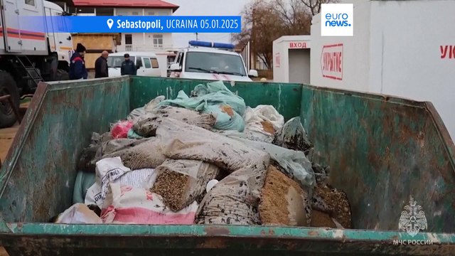 Sebastopoli: più di trenta delfini morti per la fuoriuscita di petrolio nel sud della Russia