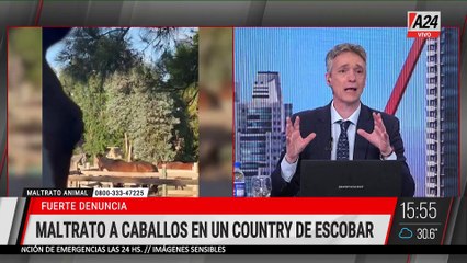 📢 DENUNCIA POR MALTRATO DE CABALLOS DEL LUJOSO COUNTRY HARAS SANTA MARÍA EN ESCOBAR