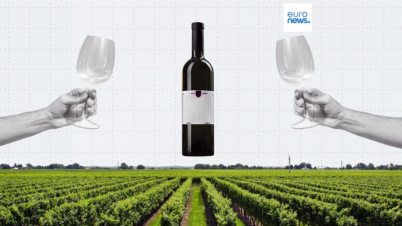 Was halten die Europäer vom 'Dry January' - Januar ohne Alkohol?