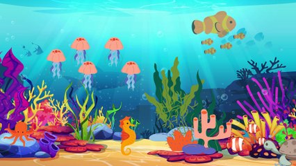 Bubble Whale Kids animation Song