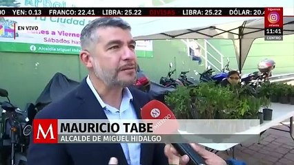 Inicia reciclaje de árboles de Navidad en la alcaldía Miguel Hidalgo, CdMx
