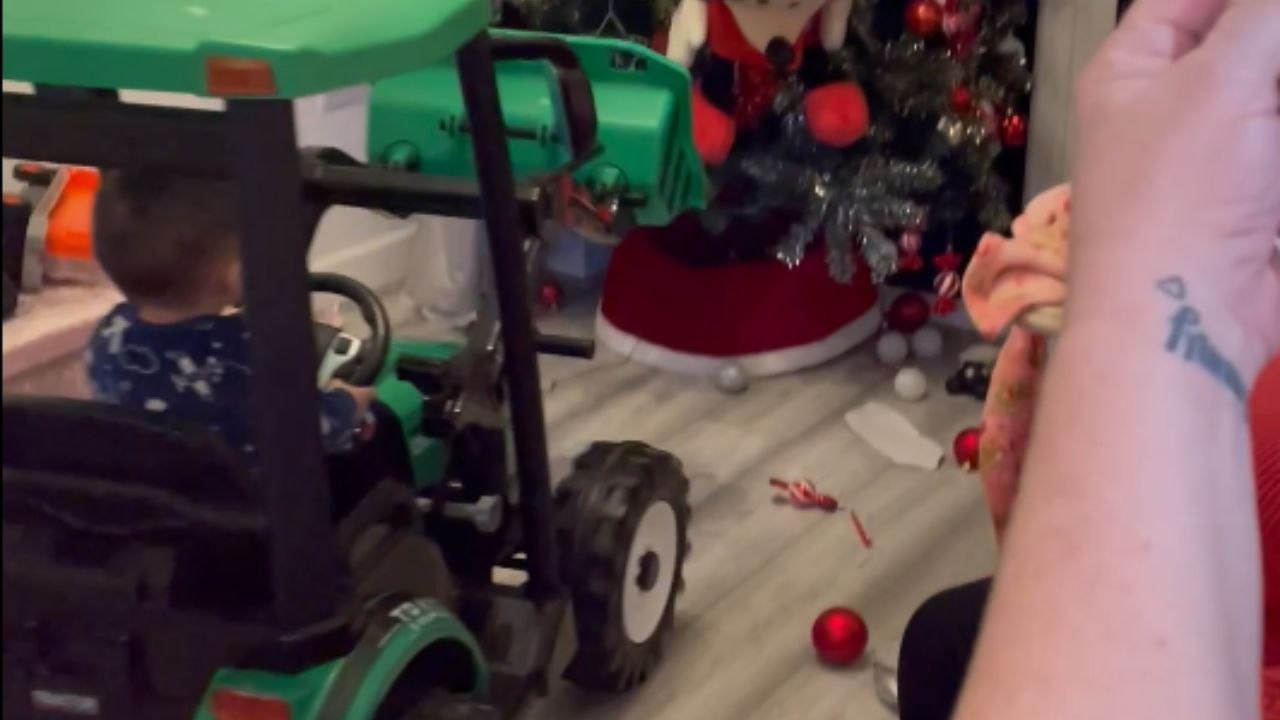 Festive chaos: Little boy drives his tractor straight into the Christmas tree