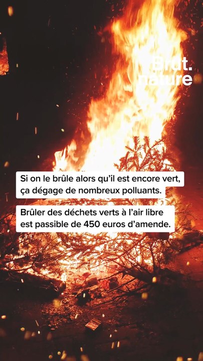 Comment donner une seconde vie à son sapin ?
