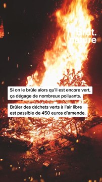 Comment donner une seconde vie à son sapin ?