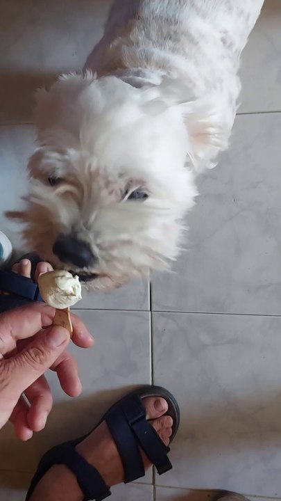 Ce avem noi aici,