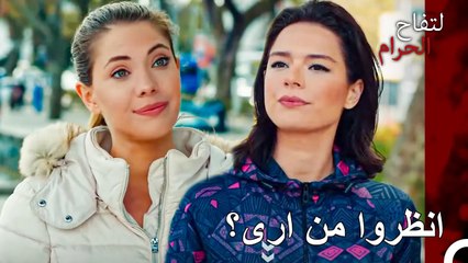 لقاء يلدز وزهرة في الساحل - التفاح الحرام الحلقة ال 66