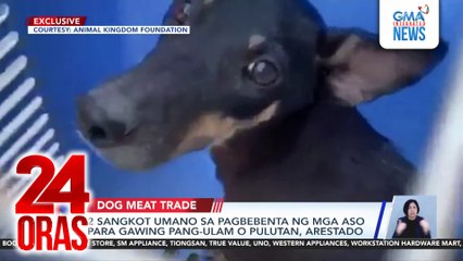 2 sangkot umano sa pagbebenta ng mga aso para gawing pang-ulam o pulutan, arestado | 24 Oras