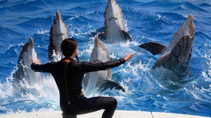 Marineland : "Nous n'avons pas demandé sa fermeture, mais une cessation progressive des activités" selon Christine Grandjean