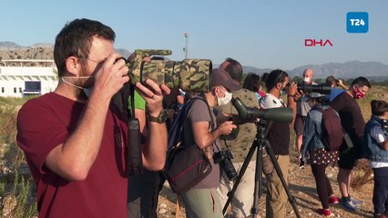 Antalya'da kuş gözlem turizmi: 8 Bin 82 gözlem kaydı yapıldı