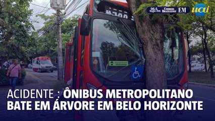 Ônibus metropolitano bate em árvore em BH