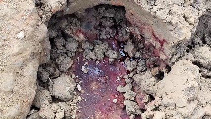 अयानगर में युवक का शव मिला, सिर में चोट के निशान, पुलिस जांच में जुटी