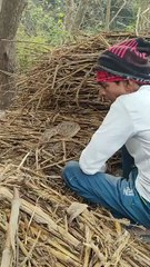 अजगर  से खेल पड़ा महंगा