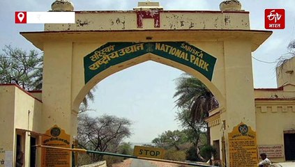 बाघों के बाद अब बर्ड फेयर से बढ़ेगी सरिस्का की ख्याति, प्रशासन तैयार कर रहा योजना