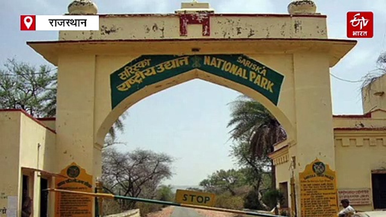बाघों के बाद अब बर्ड फेयर से बढ़ेगी सरिस्का की ख्याति, प्रशासन तैयार कर रहा योजना