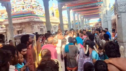 பழனி முருகன் கோவிலில்  நடிகர் சிவகார்த்திகேயனை  திக்கு முக்காட வைத்த பக்தர்கள். சளைக்காமல் பக்தர்களுக்கு போஸ் கொடுத்த நடிகர் சிவகார்த்திகேயன்