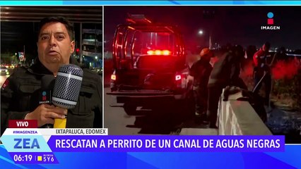 Rescatan a perrito de un canal de aguas negras en Ixtapaluca, Edoméx