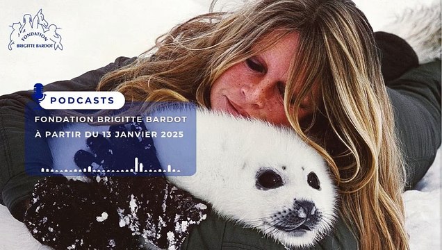 La Fondation Brigitte Bardot lance sa première série de podcasts: Les différents épisodes permettront de découvrir l’histoire, les combats, les actions et les coulisses de la Fondation