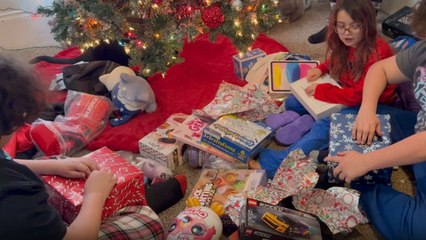 Overjoyed lads celebrate after mom fulfills their Meta Quest 3 wish