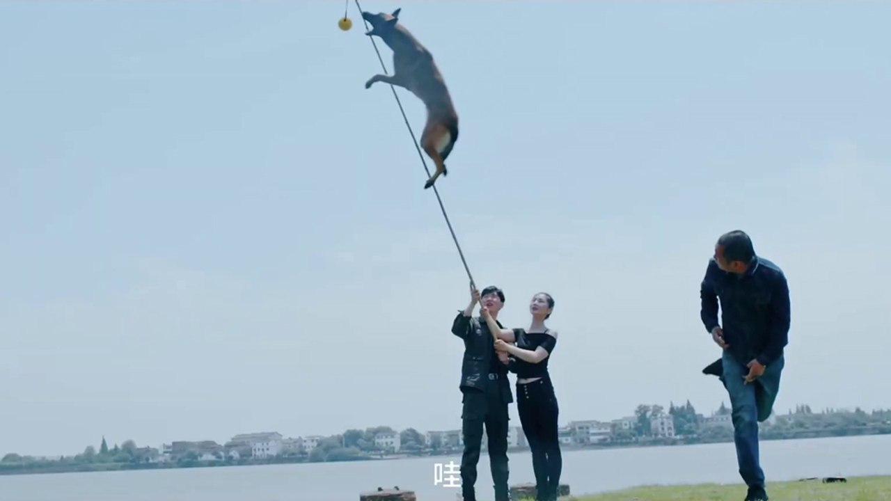 Battle Dog Attack 2 Teaser OV