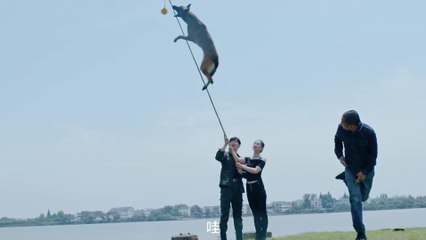 Battle Dog Attack 2 Teaser OV