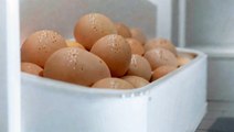 La congélation des oeufs : un choix sain ou risqué ?