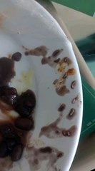 Filho de paciente denuncia ter encontrado larvas em refeição servida em hospital particular; VÍDEO